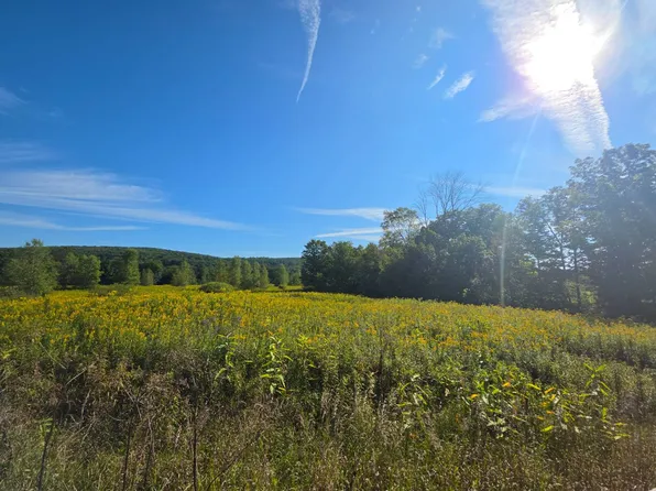 2WP State Highway 41, Afton, NY 13730
