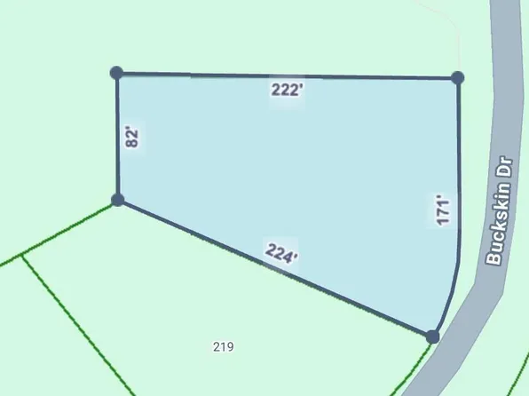 20 Buckskin Dr, Guntersville, AL 35976
