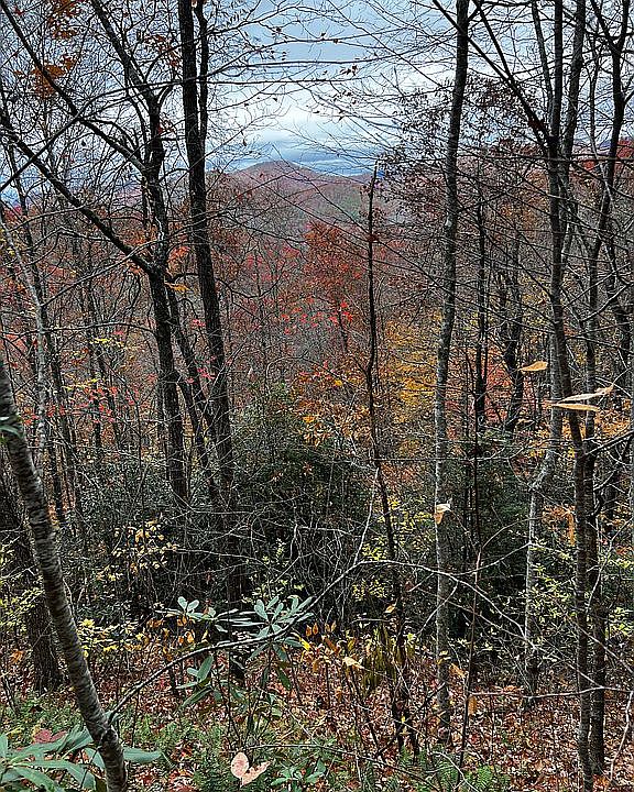 View from Building Pad