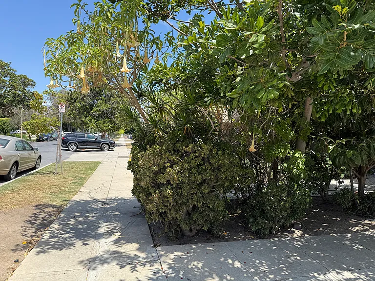 Apartment Facing North