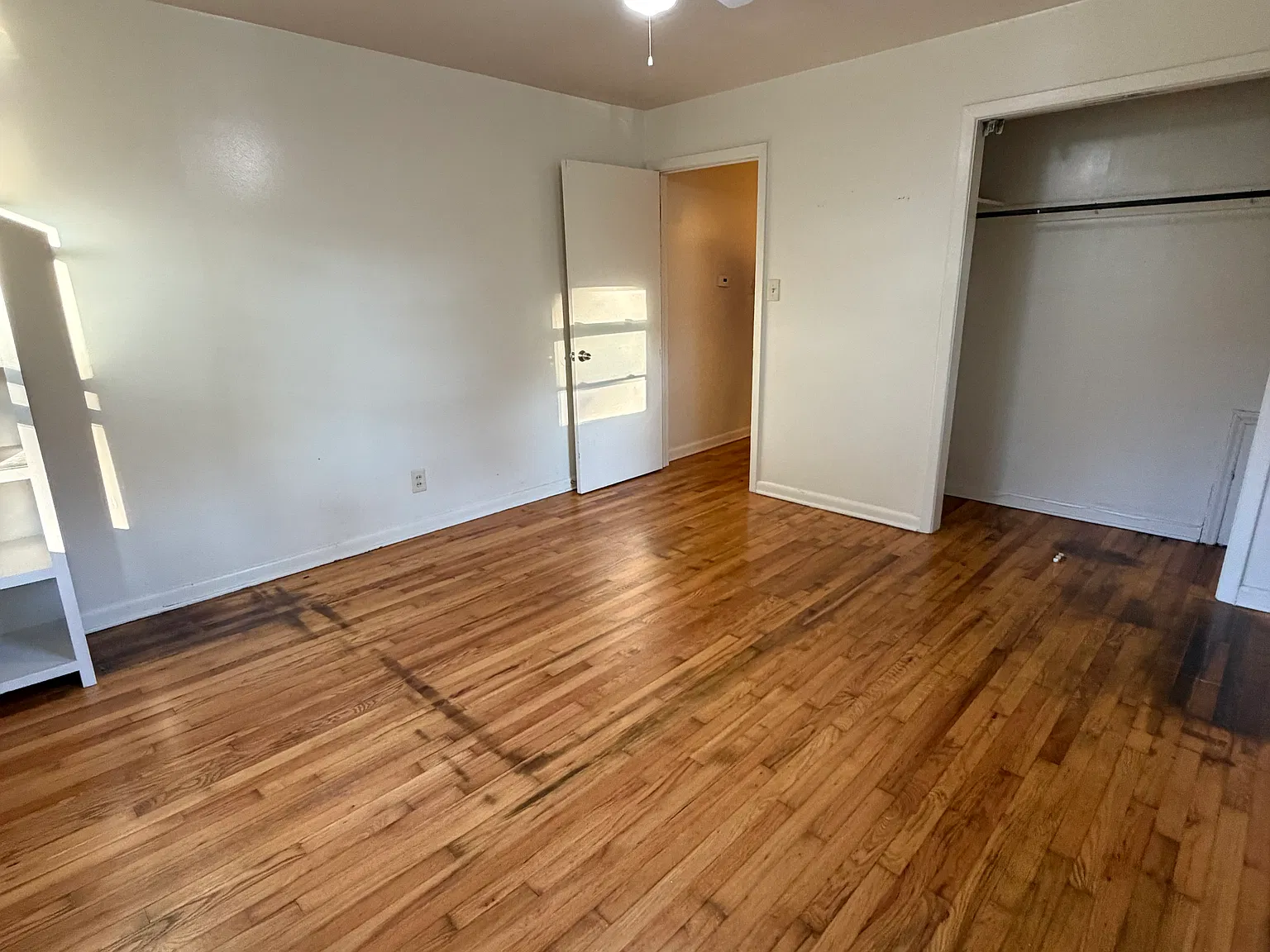 1 bed, $800 — Photo 4