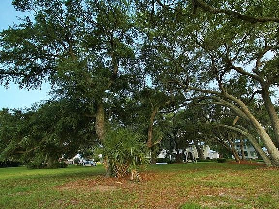 4th image of 42 Frederica Oaks Ln