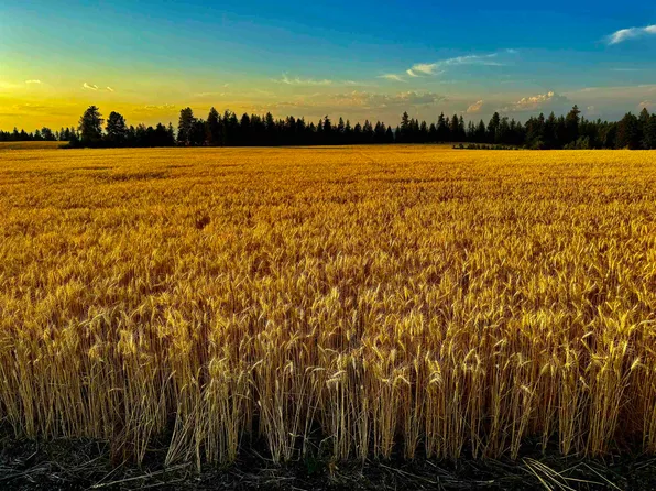0 E Orchard Bluff Rd Lot A, Chattaroy, WA 99003