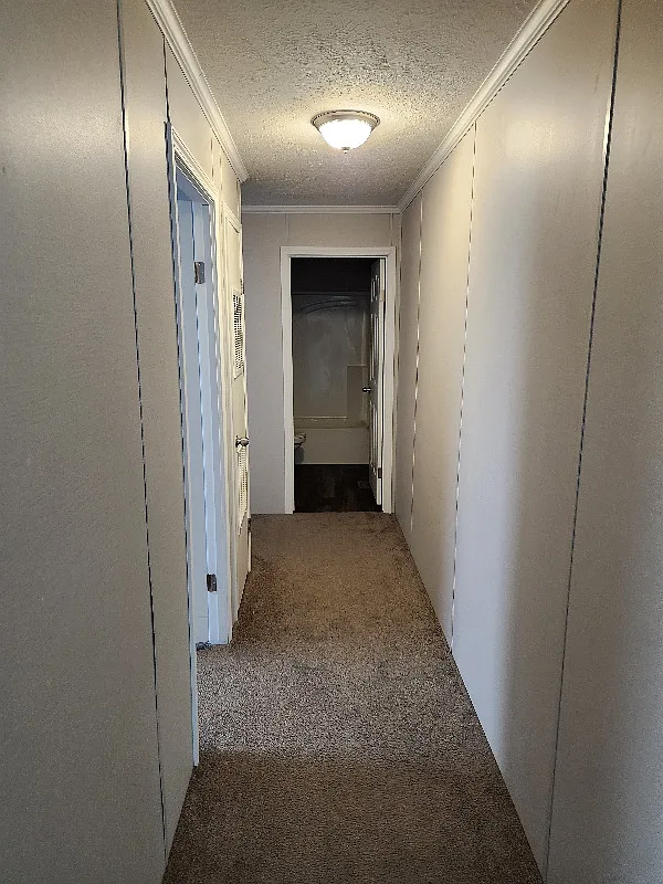 3 bed, 1216 sqft, $1,299 — Photo 4