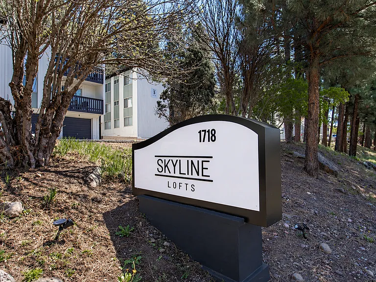 Skyline Lofts — Photo 4