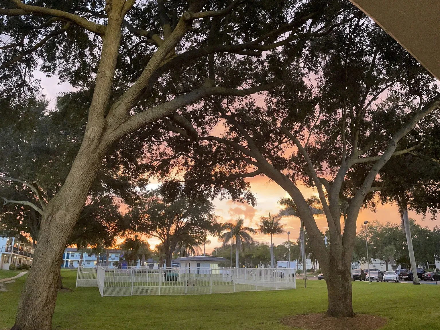 Park on Central | 12 Months Free on 1 Bedroom Apartments in Kissimmee — Photo 4