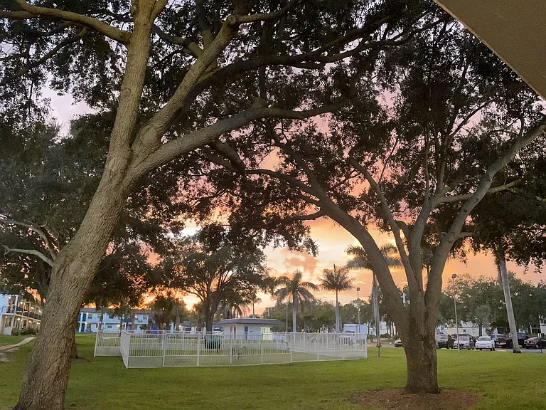 Park on Central | 12 Months Free on 1 Bedroom Apartments in Kissimmee — Photo 4