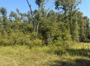 Tbd Nw Baltic Rd, Mayo, FL 32066