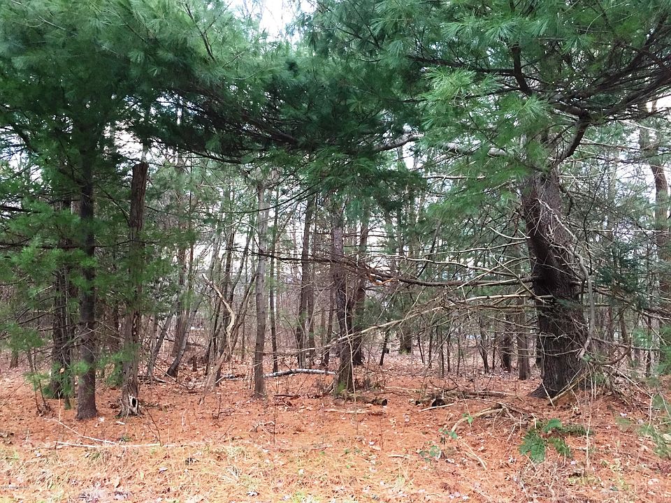 2nd image of Birchwood Dr