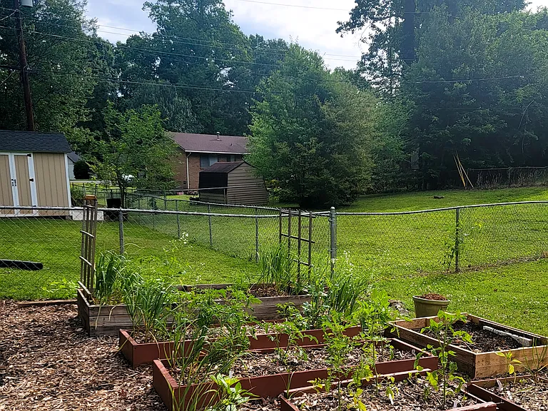 Side yard garden with compost-filled, raised planters. Will likely sprout tens of volunteer tomatoes. The home features beautiful flowering trees and perennial flowers and bushes, which invite plenty of pollinators for your garden!