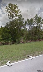 00 County Road 304, Bunnell, FL, 32110