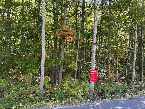 2nd image of 0 Tally Ho Winter Park Rd