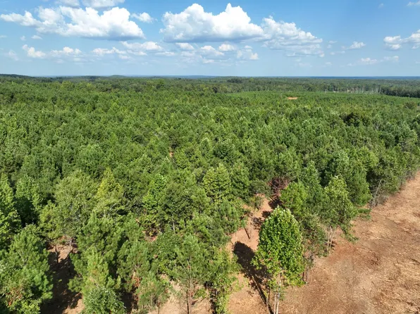 0 Lv Rd, Wadley, AL 36276