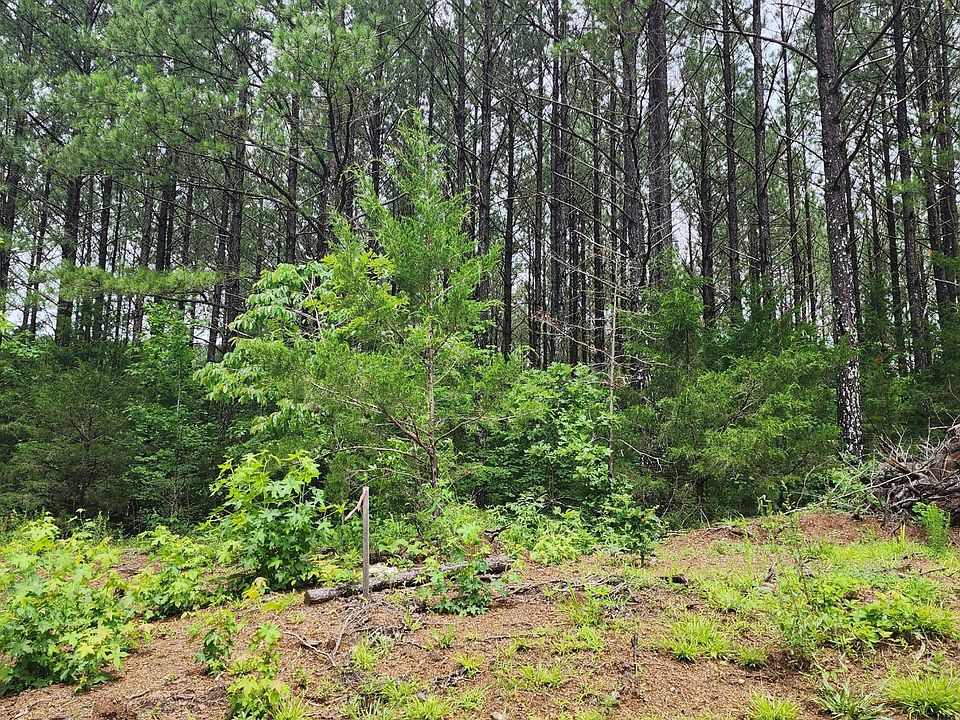 1st image of 0 County Road 184 Lot 1&2