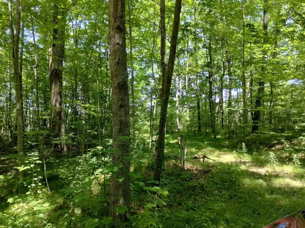 Tbd Winding Wood Dr, Farwell, MI 48622