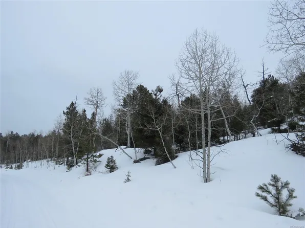 Park Ridge Dr, Florissant, CO 80820