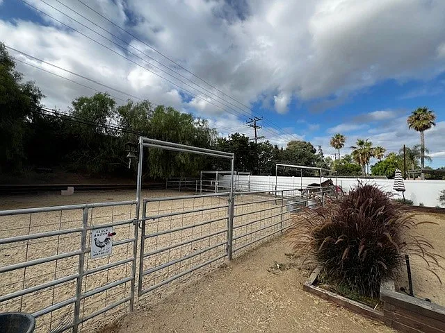 1052 Calle Jazmin — Photo 15