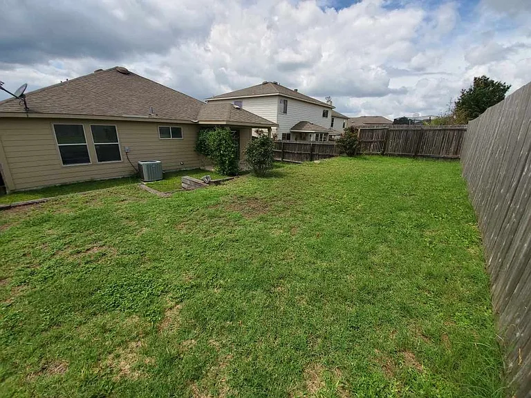 25714 Gold Yarrow — Photo 17