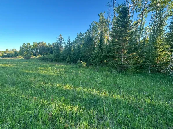 V/l 3360a S County Line Rd, Onaway, MI 49765