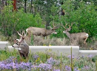 4418 Ridgeway Dr, Los Alamos, NM 87544