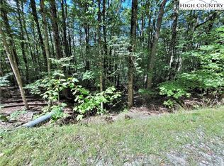 118 S Hickory Ln, Banner Elk, NC 28604