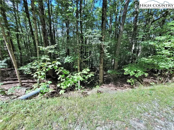 118 S Hickory Lane, Beech Mountain, NC 28604