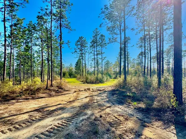 0 Hubert Morris Rd, Wilmer, AL 36587