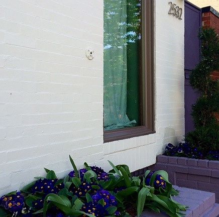 Urban Garden