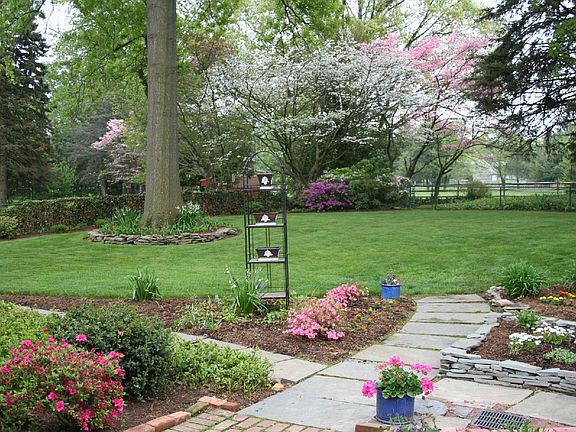 Backyard Gardem