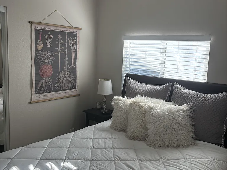 Queen size bed, mirrored closet
