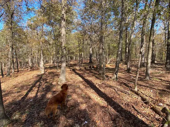 LOT 3 Grizzly Rd, Royal, AR 71968