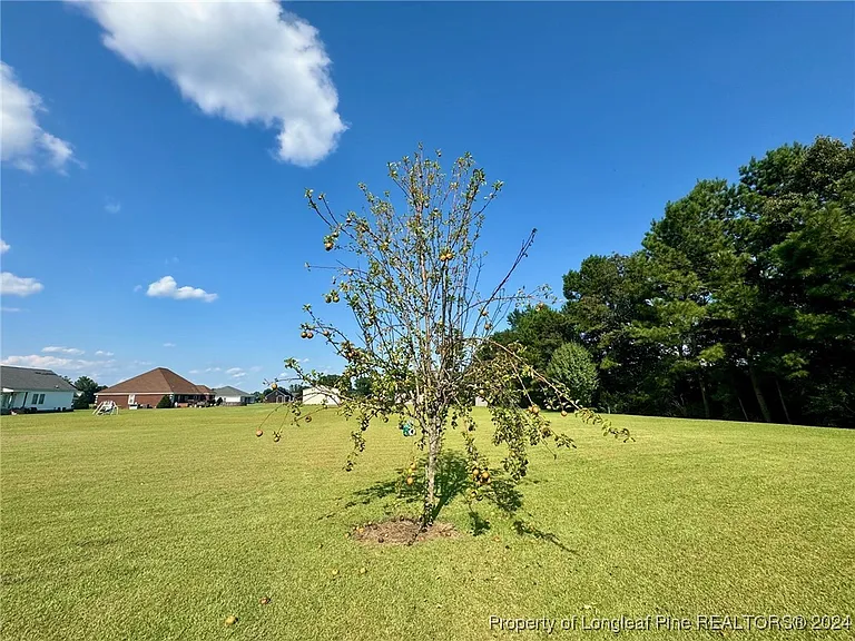 243 Trace Ln — Photo 46