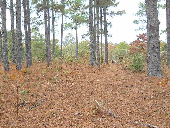 2nd image of tbd Mclendon Court