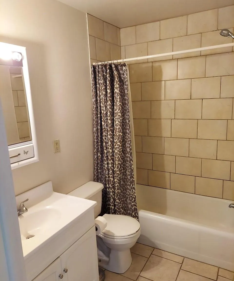 1 bed, 650 sqft, $710 — Photo 3