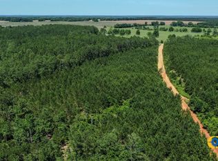 Brannon Montgomery Rd, Mauk, GA 31058