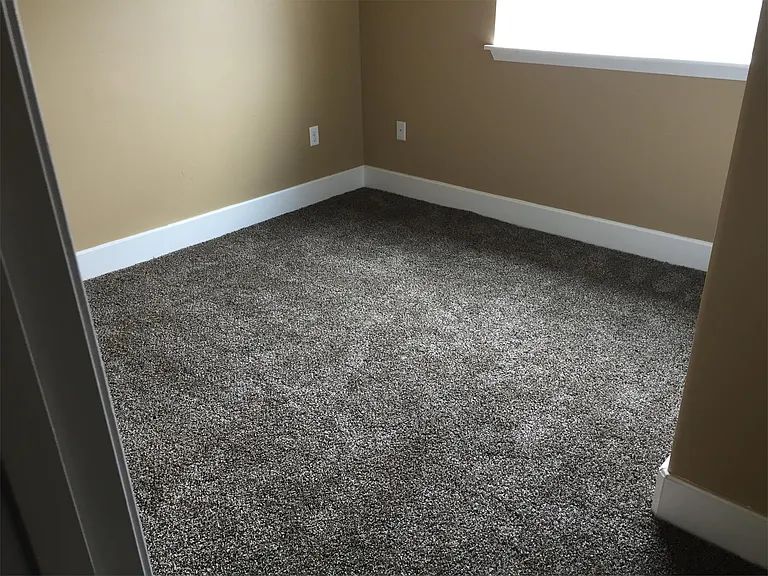 2019 Koch Dr — Photo 11