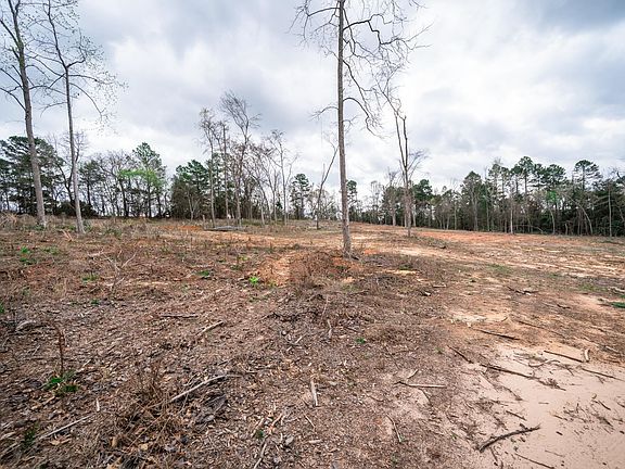 4th image of 2428 Crabapple Rd