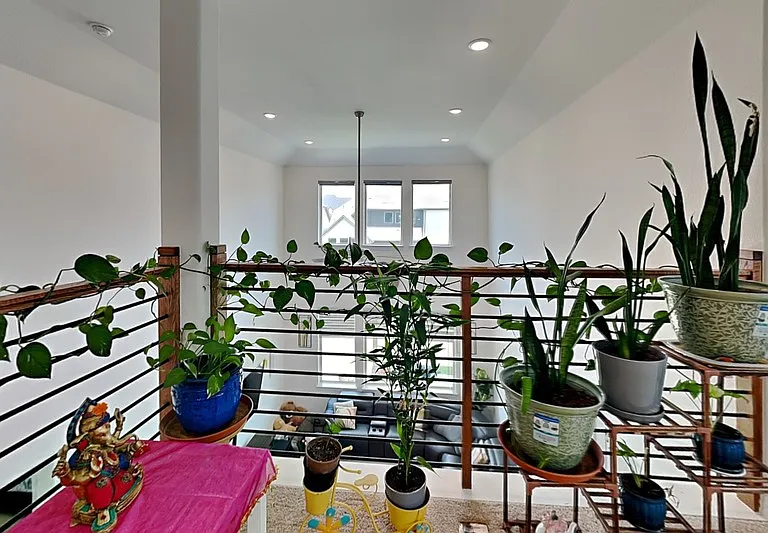 2931 Genevieve Ln — Photo 18
