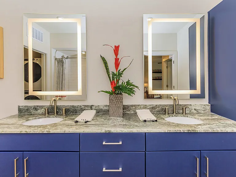 High-End Double Sinks in Master Bathroom
