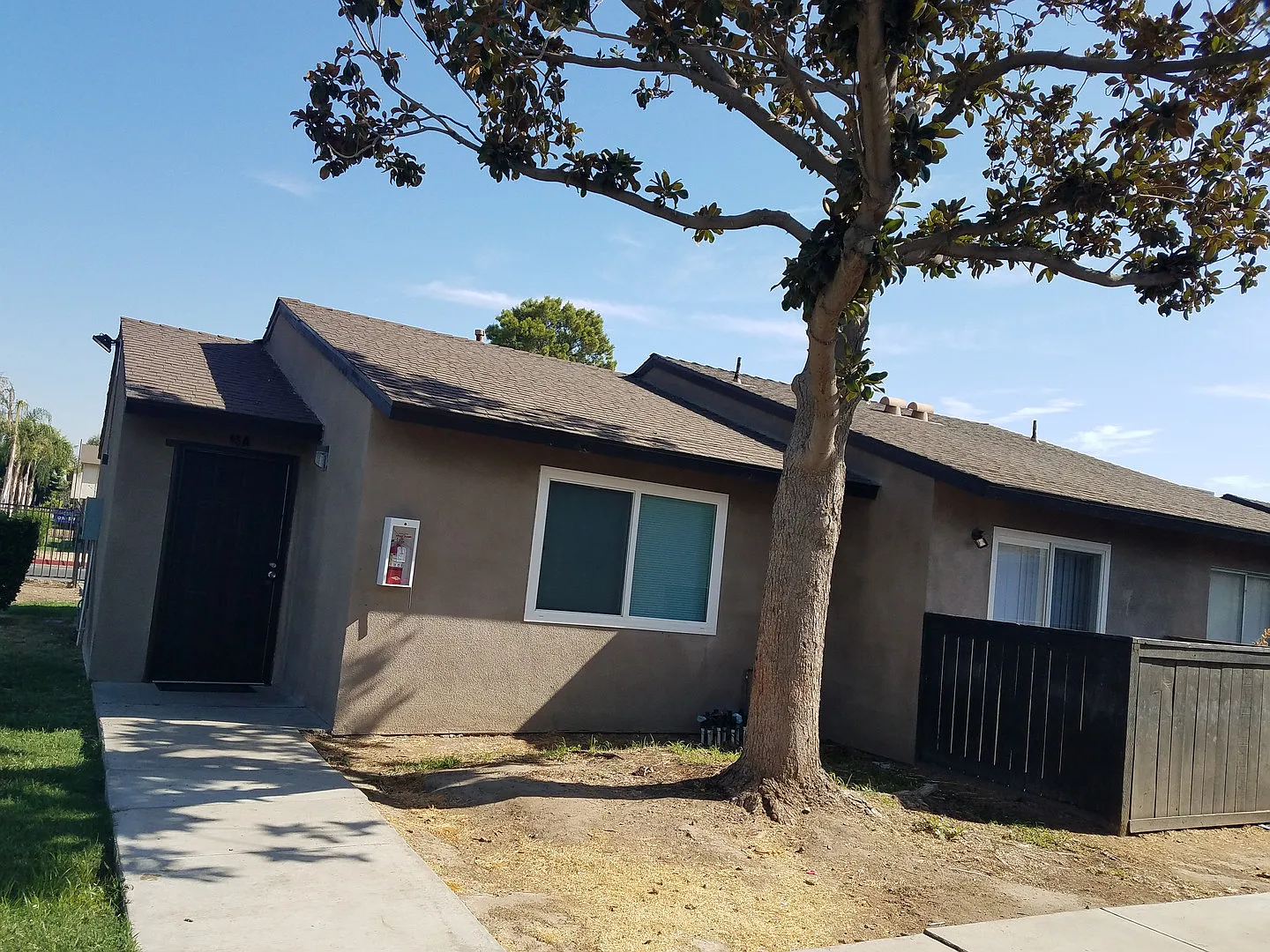 Pacific Pines — Photo 3