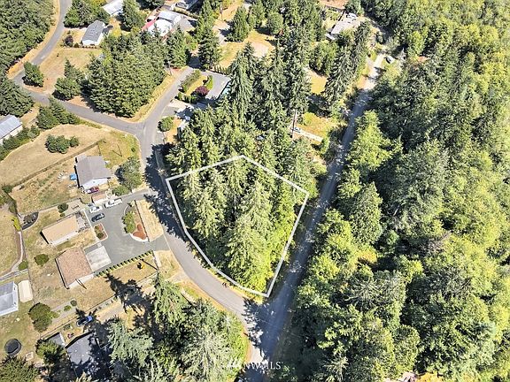 3rd image of 0 E Pickering and Park Drive