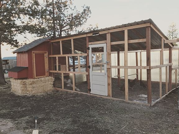 Custome Chicken Coop ?? 