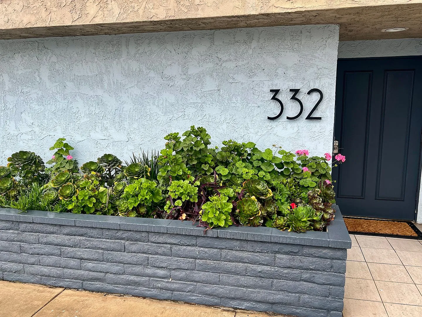 PLAYA — Photo 1