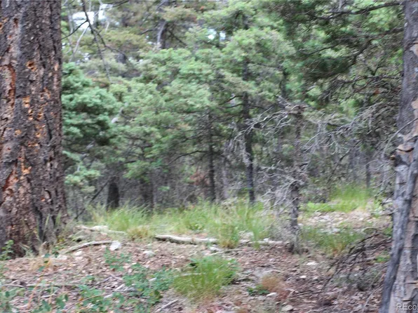 LOT 6077 Vreeland Road, San Luis, CO 81152