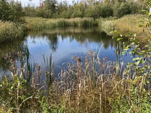 V/l 34ac Co Rd #451, Hawks, MI 49743