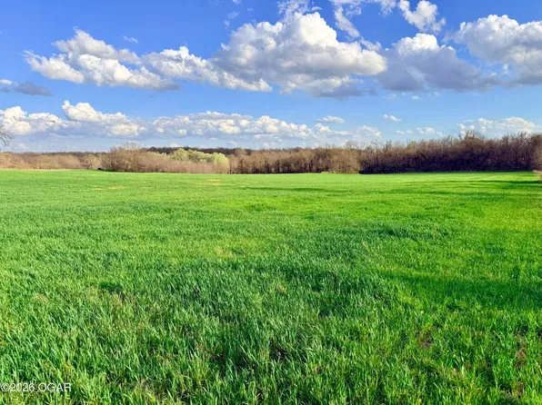 1 Ff Hwy, Everton, MO 65646