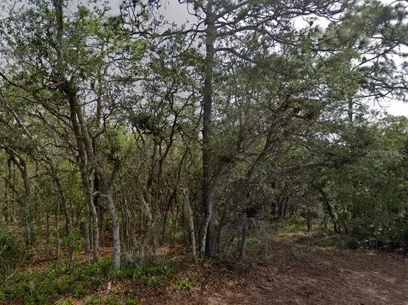 10 Milbark Dr #40, Homosassa, FL 34446