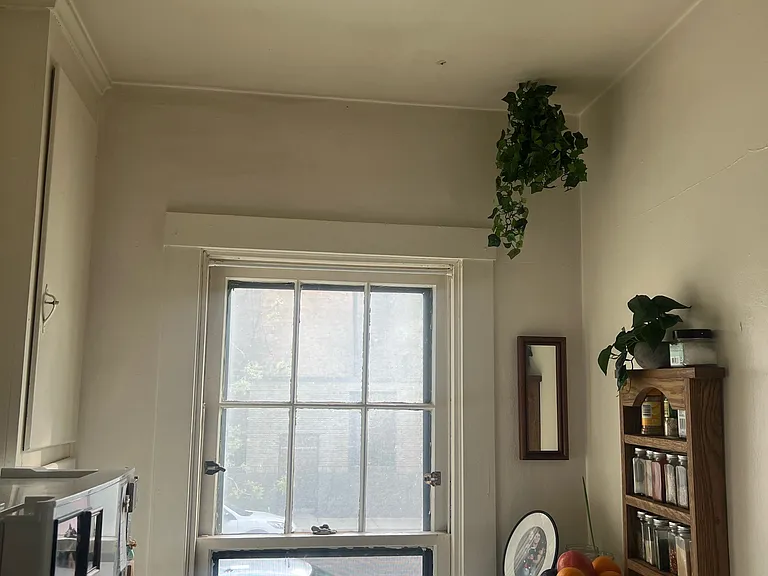 315 N Franklin St #2 — Photo 7