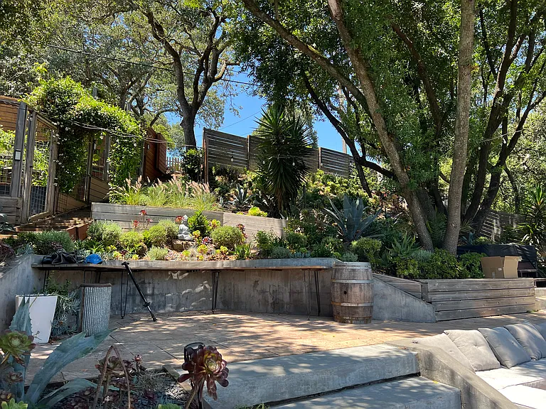 Side yard