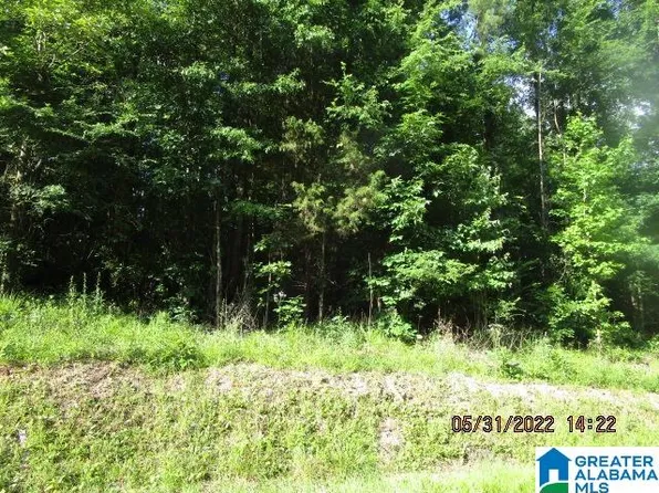 Southern Oaks Dr #32, Odenville, AL 35120